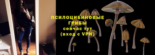 не бодяженный Алзамай
