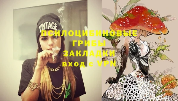 не бодяженный Алзамай