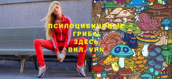 синтетический гашиш Алексеевка