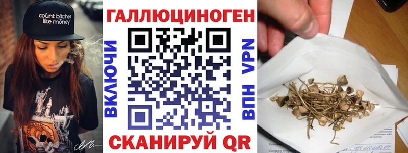 где купить наркоту Менделеевск Галлюциногенные грибы MAGIC MUSHROOMS